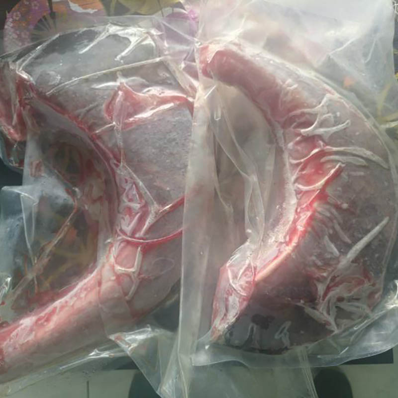 FROZEN CO TUNA COLLAR BONE