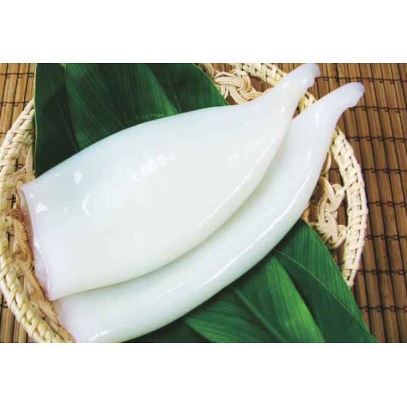 FROZEN ILLEX SQUID TUBE, AAA GRADE