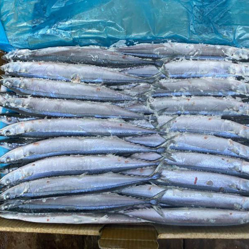 FROZEN PACIFIC SAURY, WR